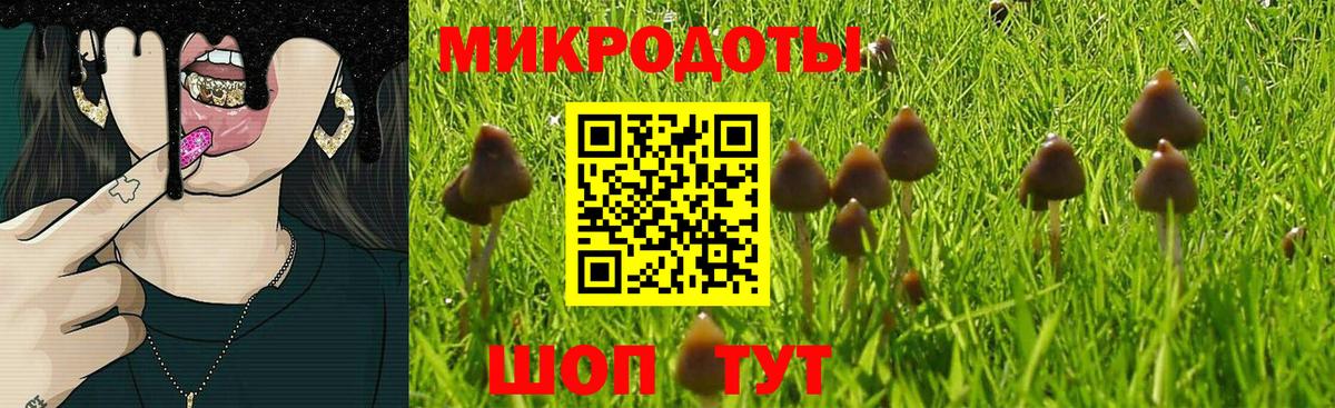Кизляр  где купить наркоту  Вход с VPN  Псилоцибиновые грибы Psilocybine cubensis 